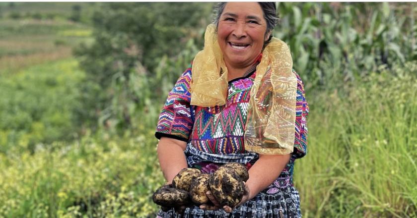 Agroecology schools help communities restore degraded land in Guatemala