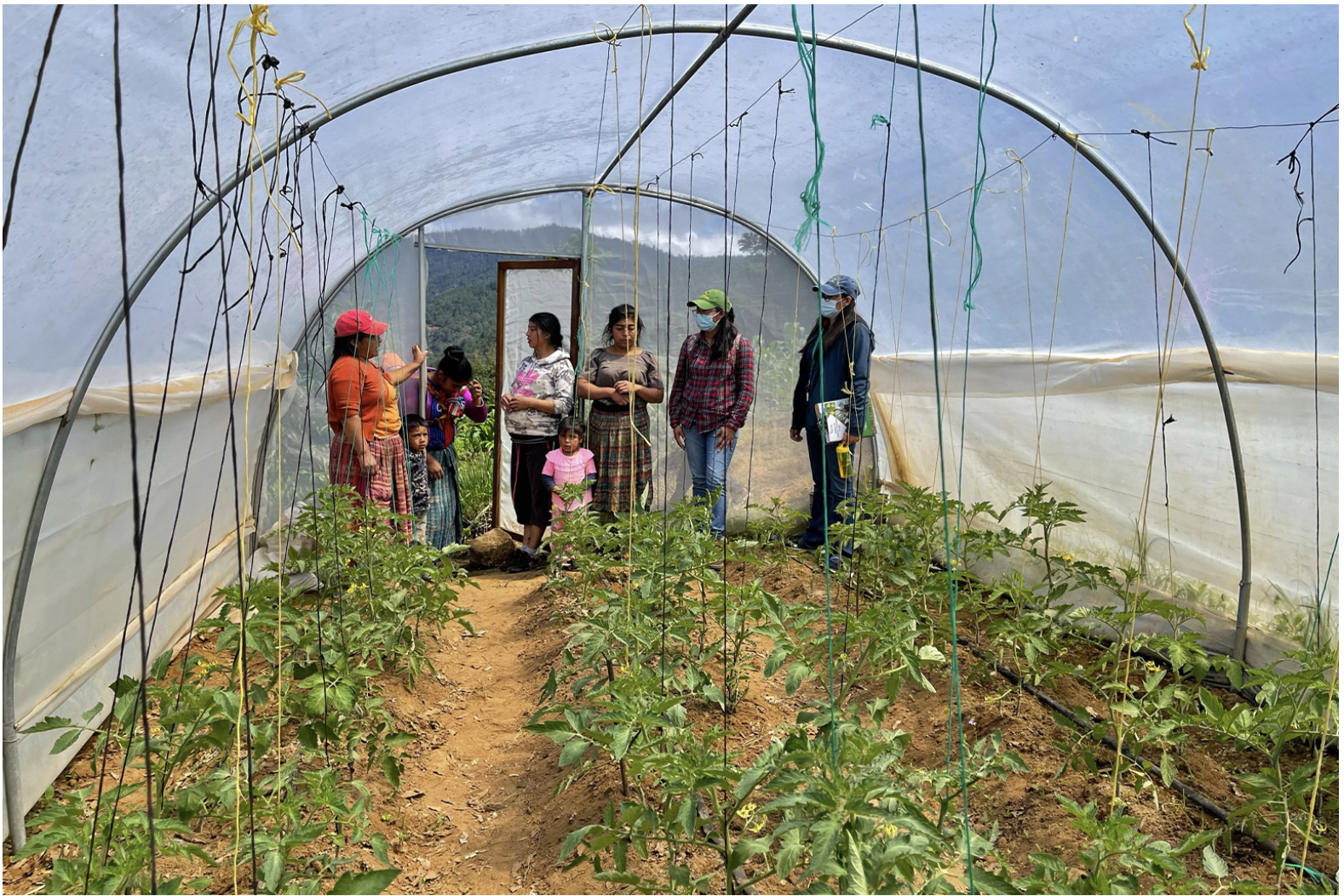‘Learning by doing’ is one of the guiding principles of Guatemala’s agroecology schools. Although some schools have theoretical elements, most lessons take place on farms, rather than classrooms. Image courtesy of Utz Che’.