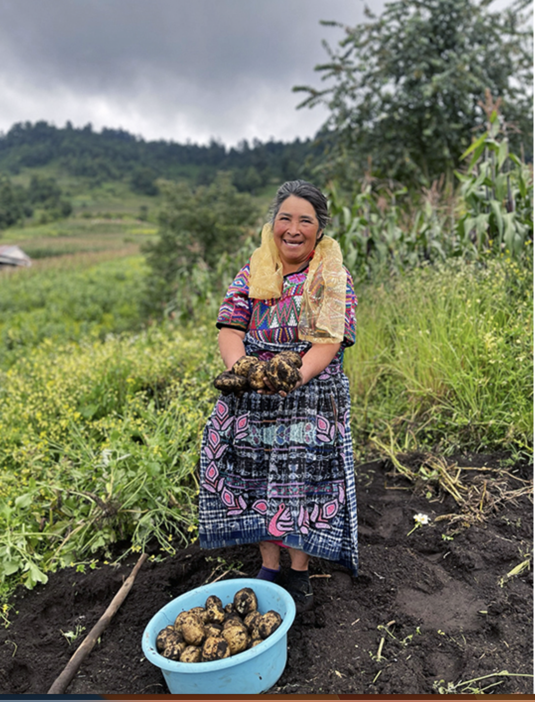 Florinda Dominga Par is an active participant in the agroecological and artisanal market held every Friday in Totonicapán, a space generated specifically for agroecological producers. She is considered one of the best producers of organic potatoes in the country. Image courtesy of Utz Che’.